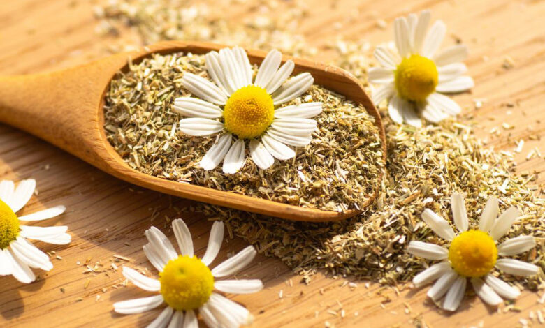 گل بابونه