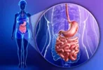 تفاوت زخم معده با سایر مشکلات گوارشی: چگونه علائم زخم معده را تشخیص دهیم؟