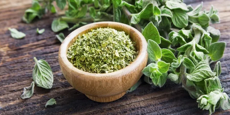 خواص پونه کوهی؛ فواید دارویی، طرز مصرف، کاربردهای آرایشی و هشدارهای پزشکی
