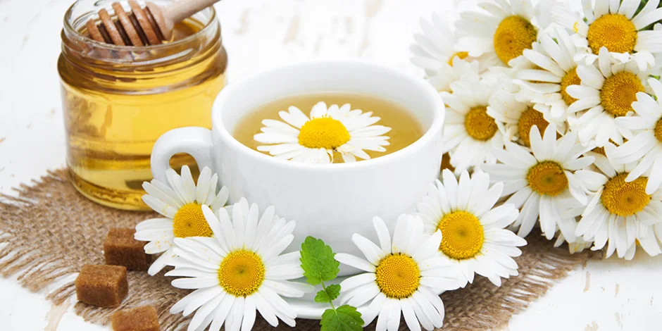 خواص بابونه؛ گیاهی دارویی برای آرامش اعصاب، سلامت پوست و درمان گوارش